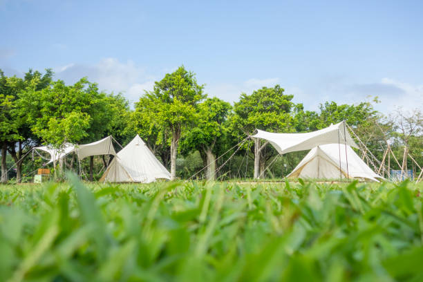istock Camping tents on the park lawn 1450001757