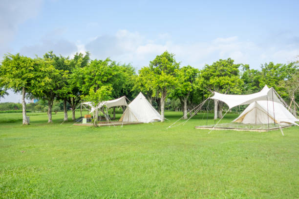 istock Camping tents on the park lawn 1450001923