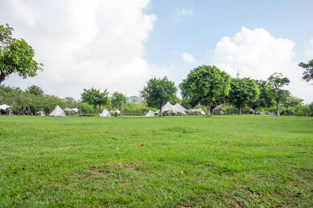 istock Camping tents on the park lawn 1450002212