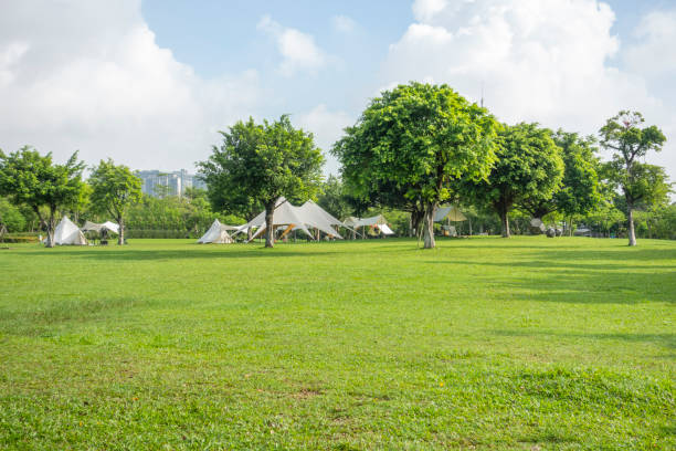 istock Camping tents on the park lawn 1450002265