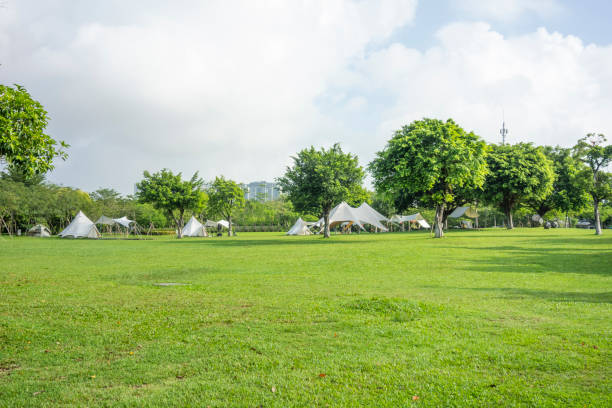istock Camping grassland in the park 1450002958