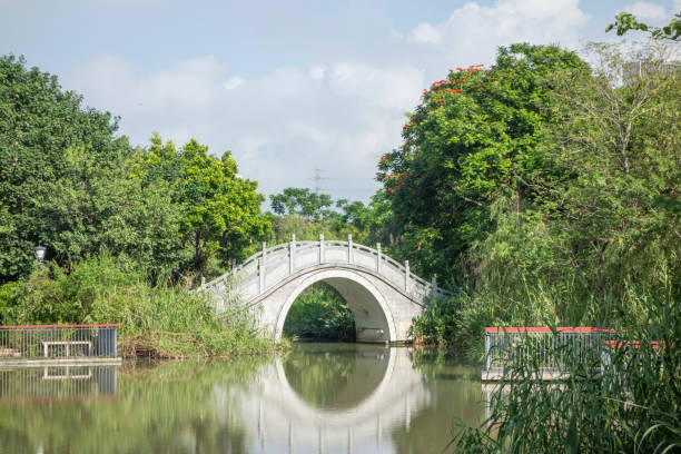 istock Traditional Chinese Arch Bridge in the Park 1450003396