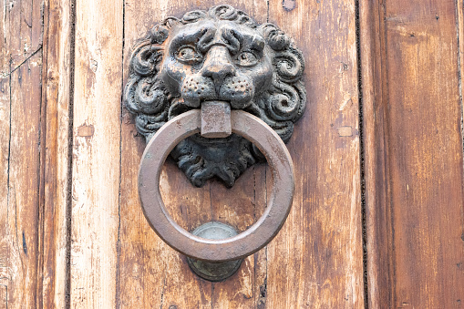 Antique brass door knocker in the shape of a lion's head