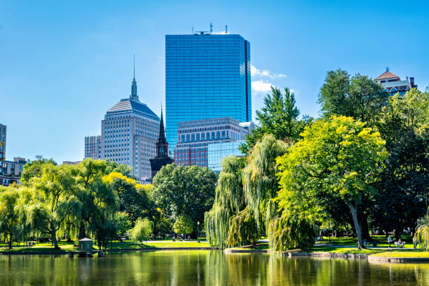 boston common park y el horizonte del centro de la ciudad con lago y árboles, boston, ee. uu. - boston common fotografías e imágenes de stock