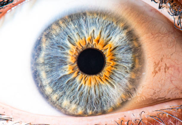istock detailed blue eye macro picture 1450006352