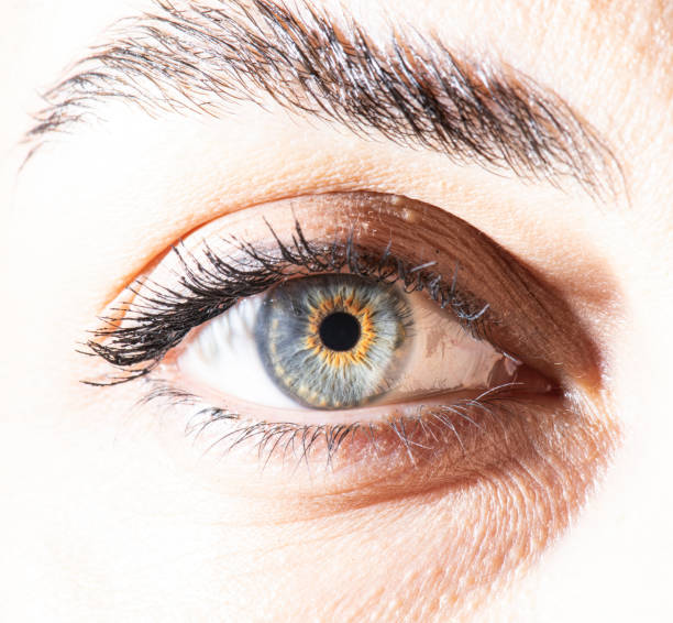 istock detailed blue eye macro picture 1450006409