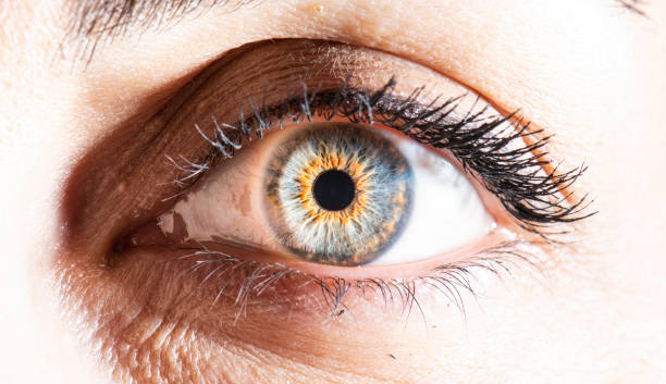 istock detailed blue eye macro picture 1450006416