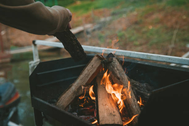 istock Man's hand put firewood in burning fireplace 1450006508