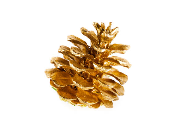 Pine Cones and Pine Branches on a Old Wooden Table. Christmas Lights in the Background. Copy Space.