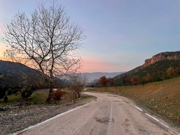 istock at sunset , natural colors , tree, road 1450011414