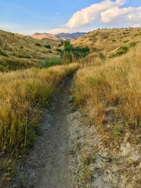 istock High Desert Trail - Northern Nevada - September 1450013729