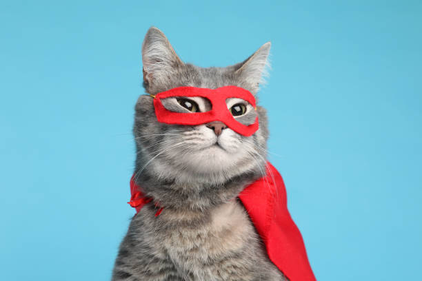 istock Adorable cat in red superhero cape and mask on light blue background 1450015709
