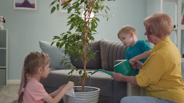 Grandparent with cute little children care of houseplant