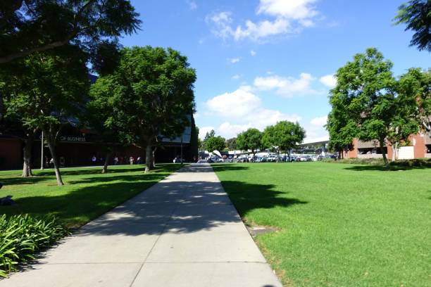 istock Pedestrian path in a park with green lawn and trees on a sunny day 1450016367
