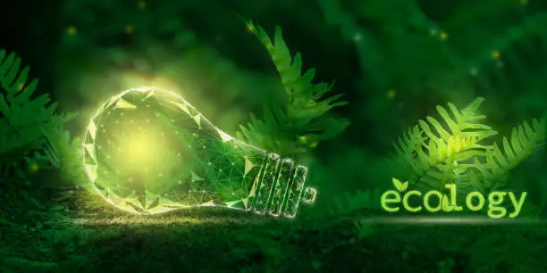 Photo of Ecology, recycling, green energy, safe electricity concept. A glowing light bulb and the inscription Ecology in the forest among the ferns. Low-poly frame design on photography. Copy Space