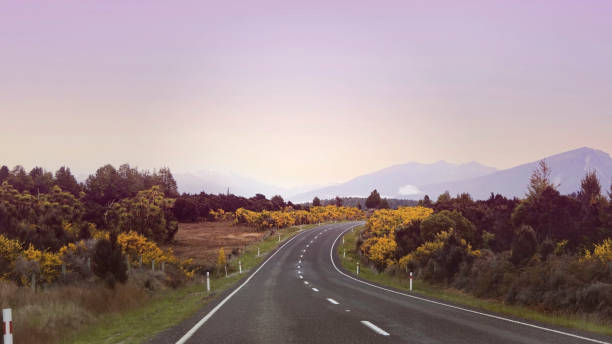 a vista da viagem rodoviária da viagem com vista para a montanha da cena do outono e nebulosa pela manhã com a cena do céu do nascer do sol no parque nacional fiordland - sunrise new zealand mountain range mountain - fotografias e filmes do acervo