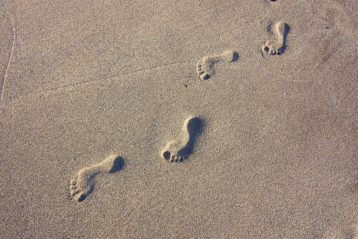 Footprints in the beach sand