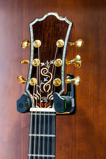 guitar details