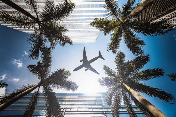 istock travel concept image in miami 1450023269