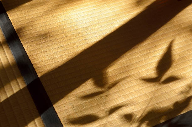 Shadow on the Tatami Mat