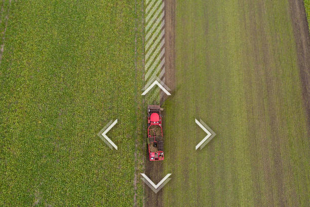 istock Autonomous harvester on the sugar beet field. 1450027278
