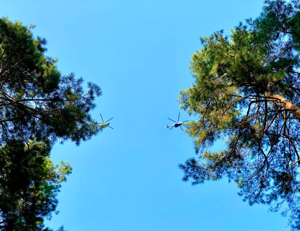 istock helicopters in the sky over the forest 1450027385