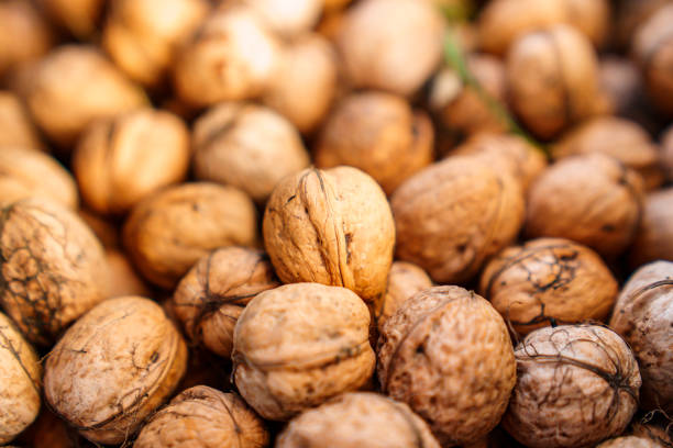 istock boxes of walnuts. harvesting nuts on the farm. 1450028641