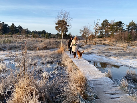 Brunssum, Netherlands- December 18, 2022. People having a winter morning walk in the heath area cold Brunssummerheide.