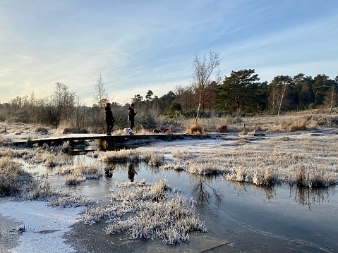Brunssum, Netherlands- December 18, 2022. Women having a winter morning walk in the heath area cold Brunssummerheide.