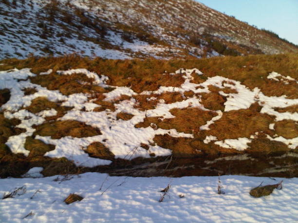 Cheviot Hills in snow on winter afternoon near Langleeford, Northumberland, England