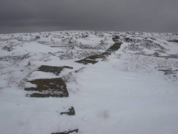 istock Cheviot Hills in snow 1450030867