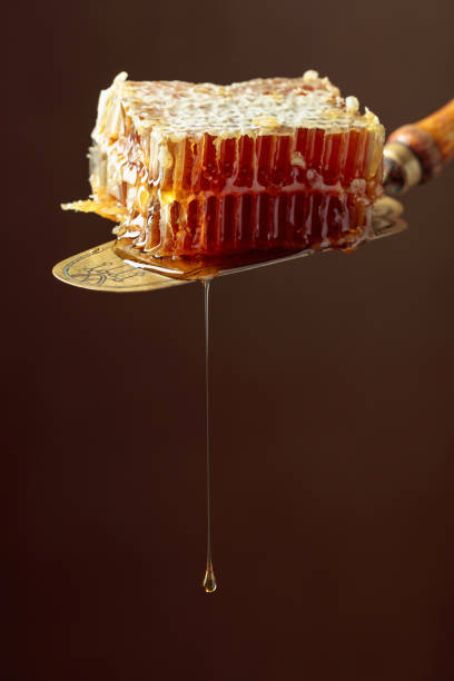 istock Honeycombs on an antique brass spatula. 1450030981