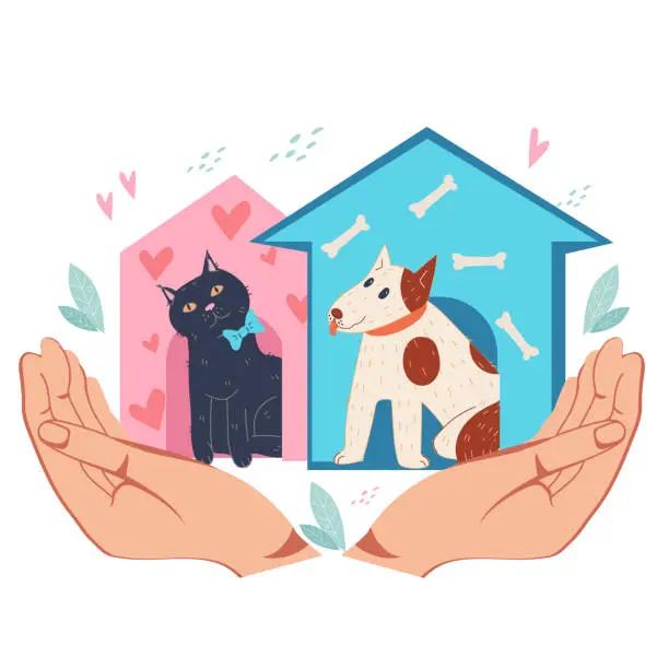 Vector illustration of Animals shelter and medical care, Donation, volunteering for homeless animals.