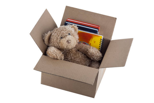 istock Teddy Bear in cardboard box isolated on white background 1450032610