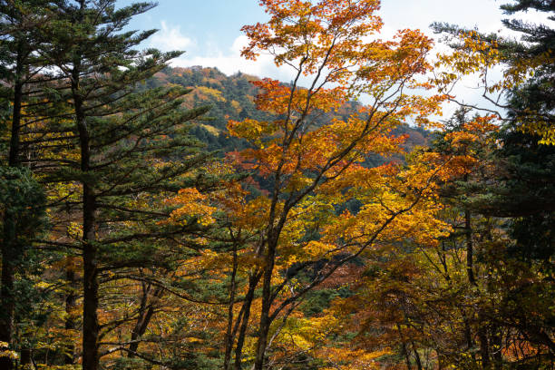 istock Hiking Trails in Odaigahara, Nara Prefecture 1450034523
