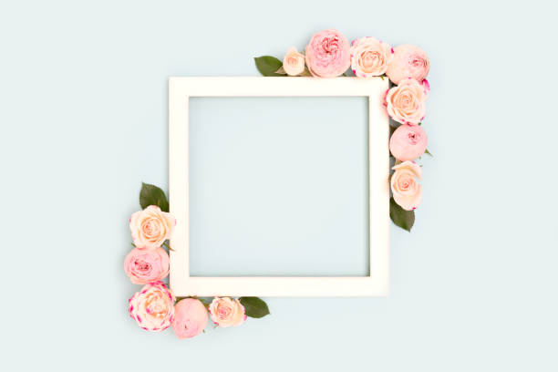 istock Square frame made of pink rose flowers on a blue background. 1450037322