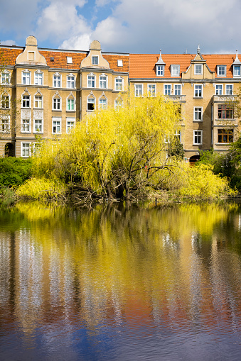 Sunny spring day at Rusalka pond in public park in Szczecin, Poland