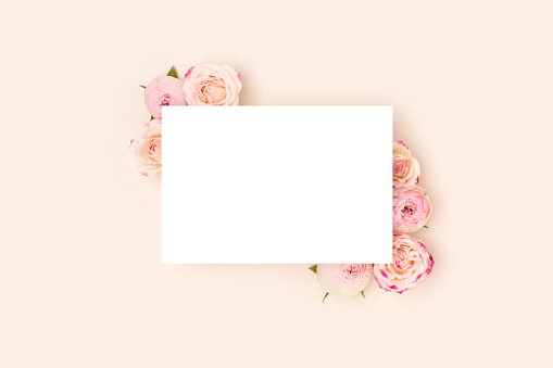 Clean paper card mockup. Pink rose flowers on a beige background. Floral composition with place for text.