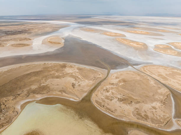 istock Natural shapes and textures on lake 1450038253