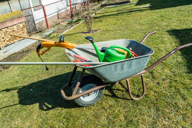 istock Garden tools in a wheelbarrow 02 1450041121