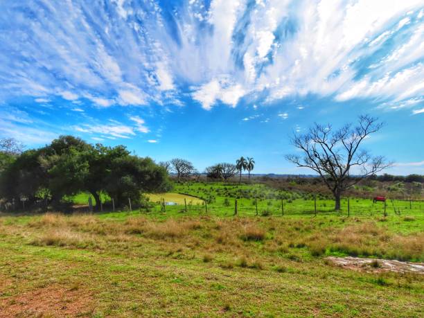 paysage rural à l’intérieur de l’uruguay - 24229 photos et images de collection