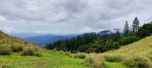 istock Amazing view of wet zone green ecosystem at Kandy 1450045172