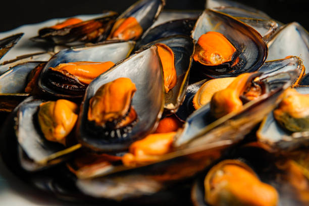 istock a stack of raw mussels on a plate. Typical Galician and Spanish food 1450060136