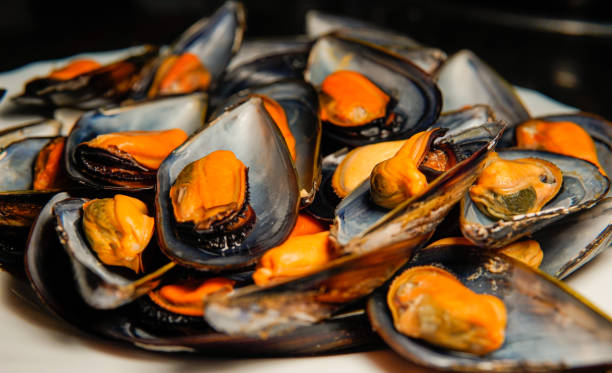 a stack of raw mussels on a plate from a market. Typical Galician and Spanish food a stack of raw mussels on a plate. Typical Galician and Spanish food mollusca stock pictures, royalty-free photos & images