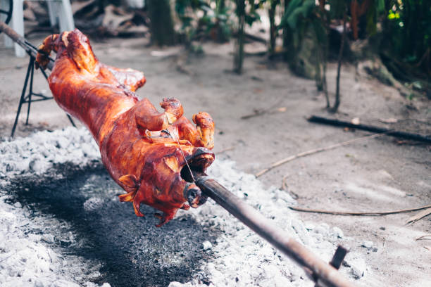 cottura lenta del popolare, preferito di tutti i tempi, delizioso maiale croccante arrosto o lechon baboy sotto intorno a carboni ardenti usando girarrosto manuale improvvisato - spit roasted barbecue grill barbecue pork foto e immagini stock