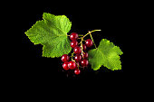 Red currant berries and leaves on a black background close-up. Vitamin-rich berries for a delicious diet