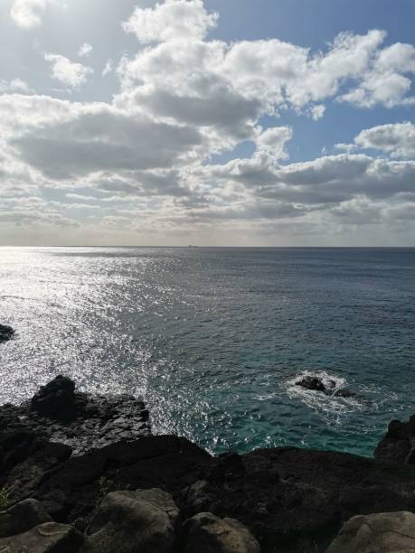 istock Vertical shot of a rocky coast in Mauritius under a cloudy blue sky 1450066566