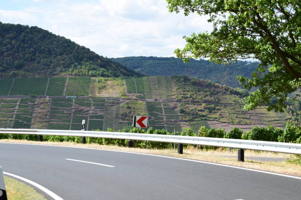 istock country road with vineyards view 1450067450