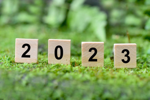 istock Wooden blocks with the letters 2023 on the grass. 1450068048