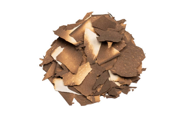 istock Burnt paper isolated on a white background. 1450074561